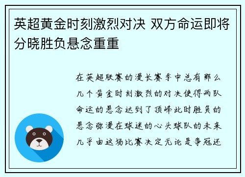 英超黄金时刻激烈对决 双方命运即将分晓胜负悬念重重